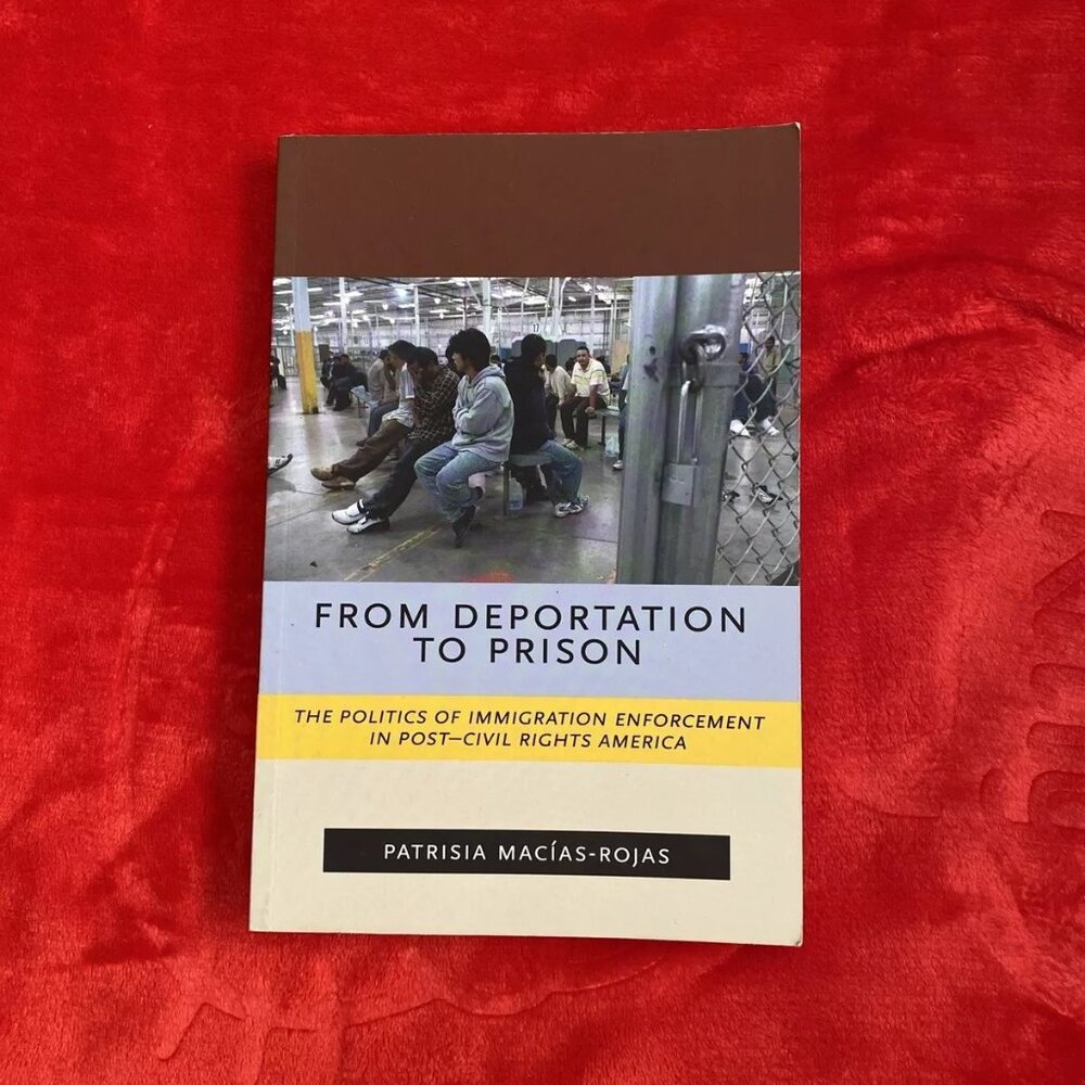From Deportation to Prison: The Politics of Immigration Enforcement in America